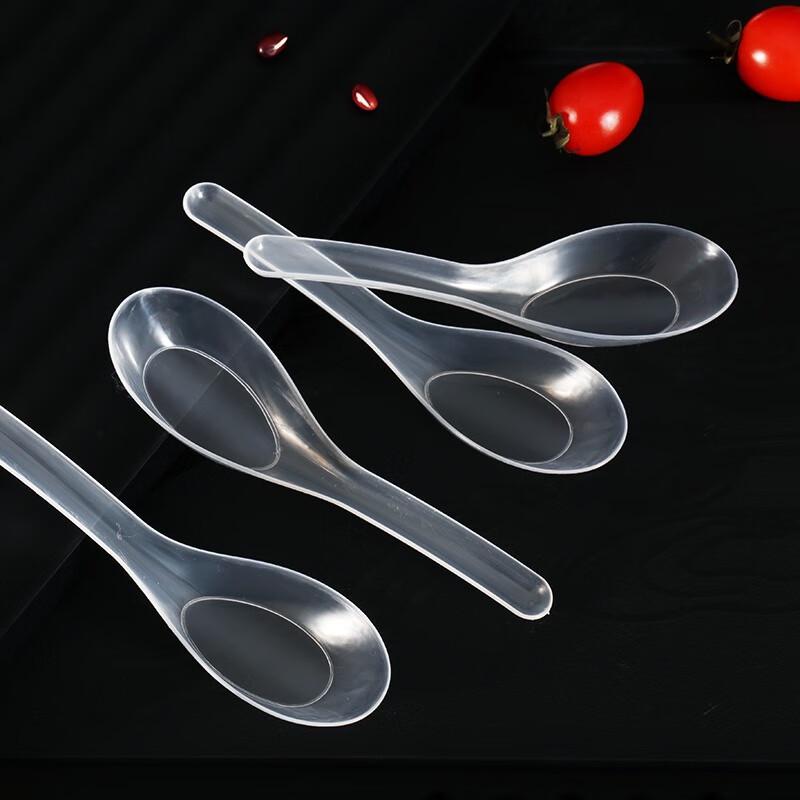Disposable Spoons (500-count)