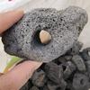 Large Submersible Plant Fixing Ring for Fish Tanks and Aquariums