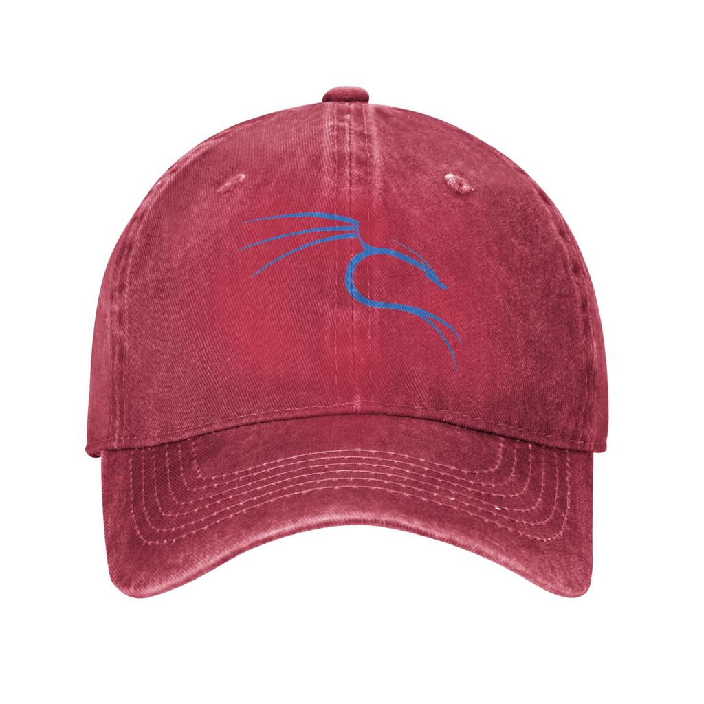 Washed Baseball Cap Cool Hacker Nerd Tees Blue Kali Linux Dragon Summer Hip Hop Hats Casual Outdoor Sport Sun Snapback Cap