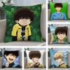 Anime A-Aoashi Cushion Cover Soft Plush Fabric Double-Sided Printed Sofa Cushion Cover for All Seasons Home Decor Gift