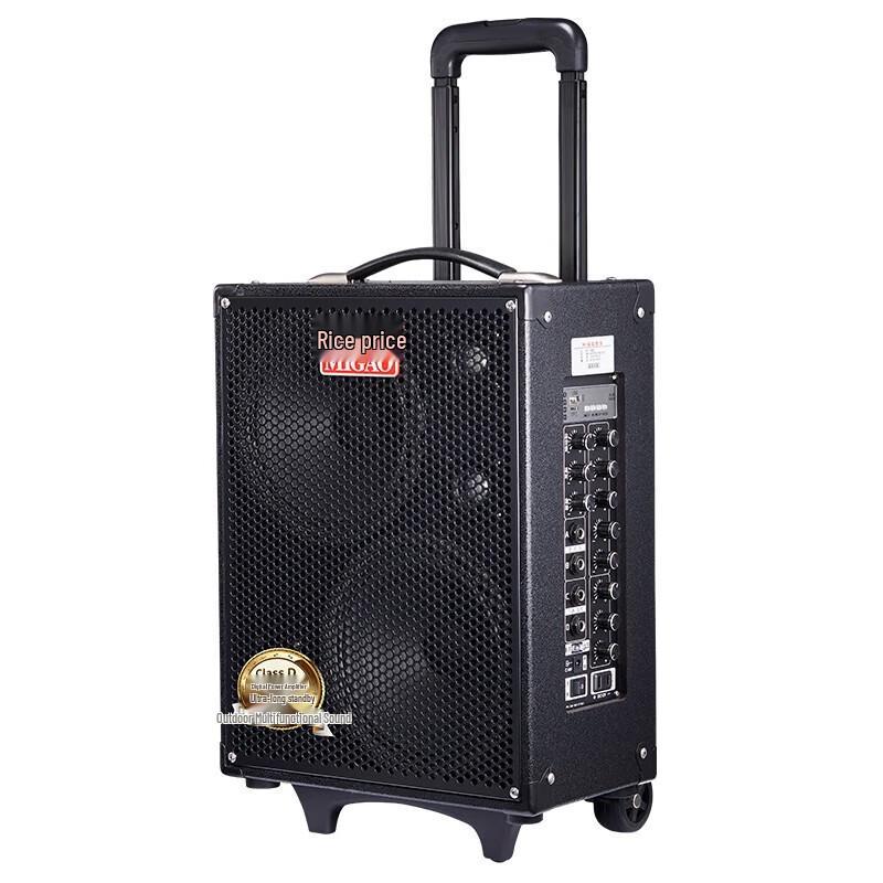 Portable PA Speaker with Wireless Microphone