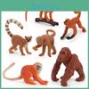 Animal Monkey Simulated Model Toy For Educational Use Collectible Figurines