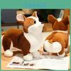 Brinquedo de Pelúcia Fofo Cachorro Corgi Animal de Pelúcia Macio e Abraçável para Crianças e Animais de Estimação Cor Marrom e Branco 23cm