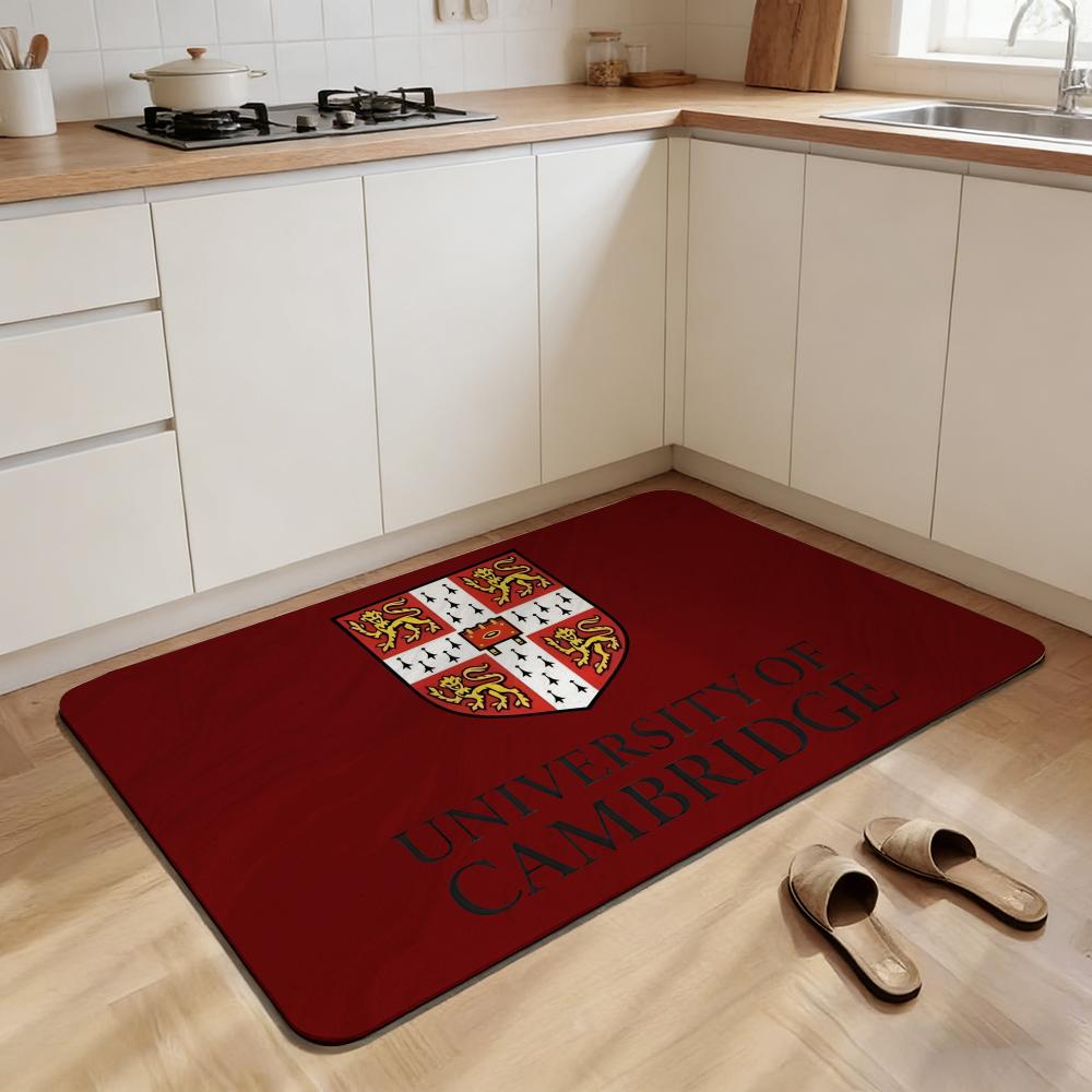 University C-Cambridge Floor Mat Non-slip Quick-dry Diatomaceous Earth Bath Mat, Absorbent Doormat