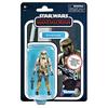 STAR WARS Vintage Collection Walmart Exclusive Inch Basic Figure Carbonized Graphite Edition Shoretrooper STAR WARS 2021 THE VINTAGE COLLECTION Basic