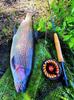 Maxcatch Set da Pesca a Mosca per Principianti con Canna e Mulinello Combo Extreme-X 6wt, 3-8wt (Set 9'0")
