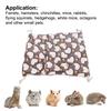 Small Pet Hammock Warm Envelope   Hanging Bed Cage with Hooks for Hamsters Rabbits