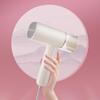 Xiaohuaxian Foldable Handheld Garment Steamer