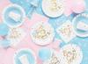 Partydeco Gender Reveal Paper Plates 23Cm / 6 Pcs