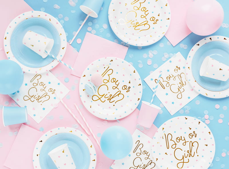 Partydeco Gender Reveal Paper Plates 23Cm / 6 Pcs