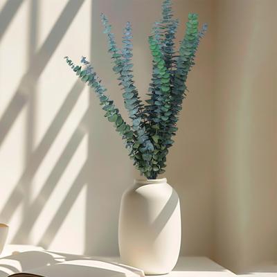 10 szt. Naturalny gałązka liści eukaliptusa Niewiędnące wielokrotnego użytku zielone rośliny kwiaty kompozycja domowa wazon dekoracja zdjęcie rekwizyty