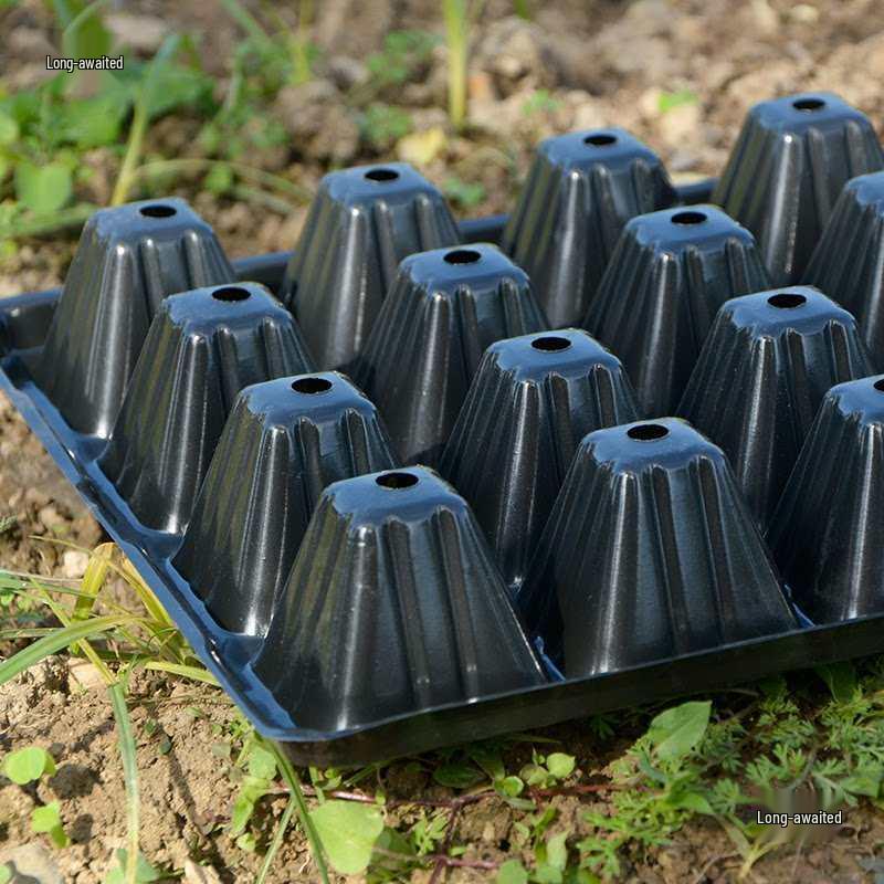 Thickened Plastic Succulent Seedling Tray for Cultivation & Cutting