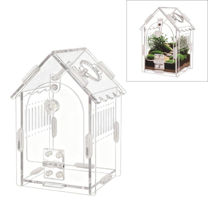 Clear Acrylic Pet Habitat with Ventilation Openings Small Acrylic Animal Home for Proper Ventilation and Security