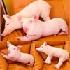 Cute Pig Plush Toy Pillow Creative Gag Friends Gift Wholesale Manufacturer