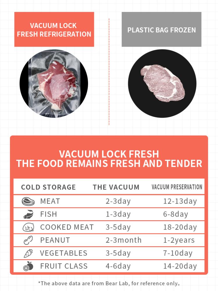 220V Household Food Vacuum Sealer Packaging Machine Film Sealer Vacuum Packer FREE GIFT 10pcs Storage Bags