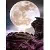 Full 5D Diy Diamond Painting Moon Landscape World Diamond Embroidery Cross Stitch Home Decor Handmade Gift
