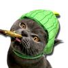 Cappello Costumi Frutta per Animali Domestici per Cani Gatti Carini Copricapo Cappello Accessori per Feste Animali Oggetti di Scena per Foto Adatto per Gatti e Cuccioli