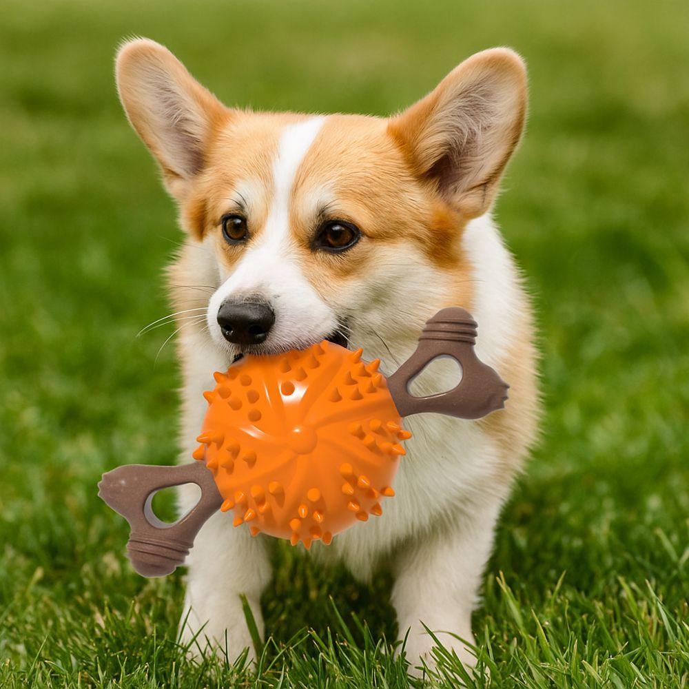 Bite Resistant Dog Teething Stick TPR Dog Chew Toy Dog Toothbrush Toy  Self Amusement