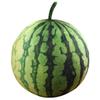 Soft Cotton Watermelon Plush Toy Round Oval Shape Watermelon Pendant Doll  Hug Gift