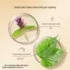 Fenghua Herbal Essence Conditioner (Light & Refreshing)