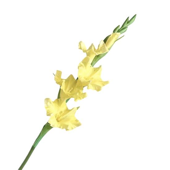 Künstliche Gladiolenblumen 22" Real Touch Blume mit langem Stiel 4 volle Blüten und 1 Knospe Gefälschte Orchidee für Vase