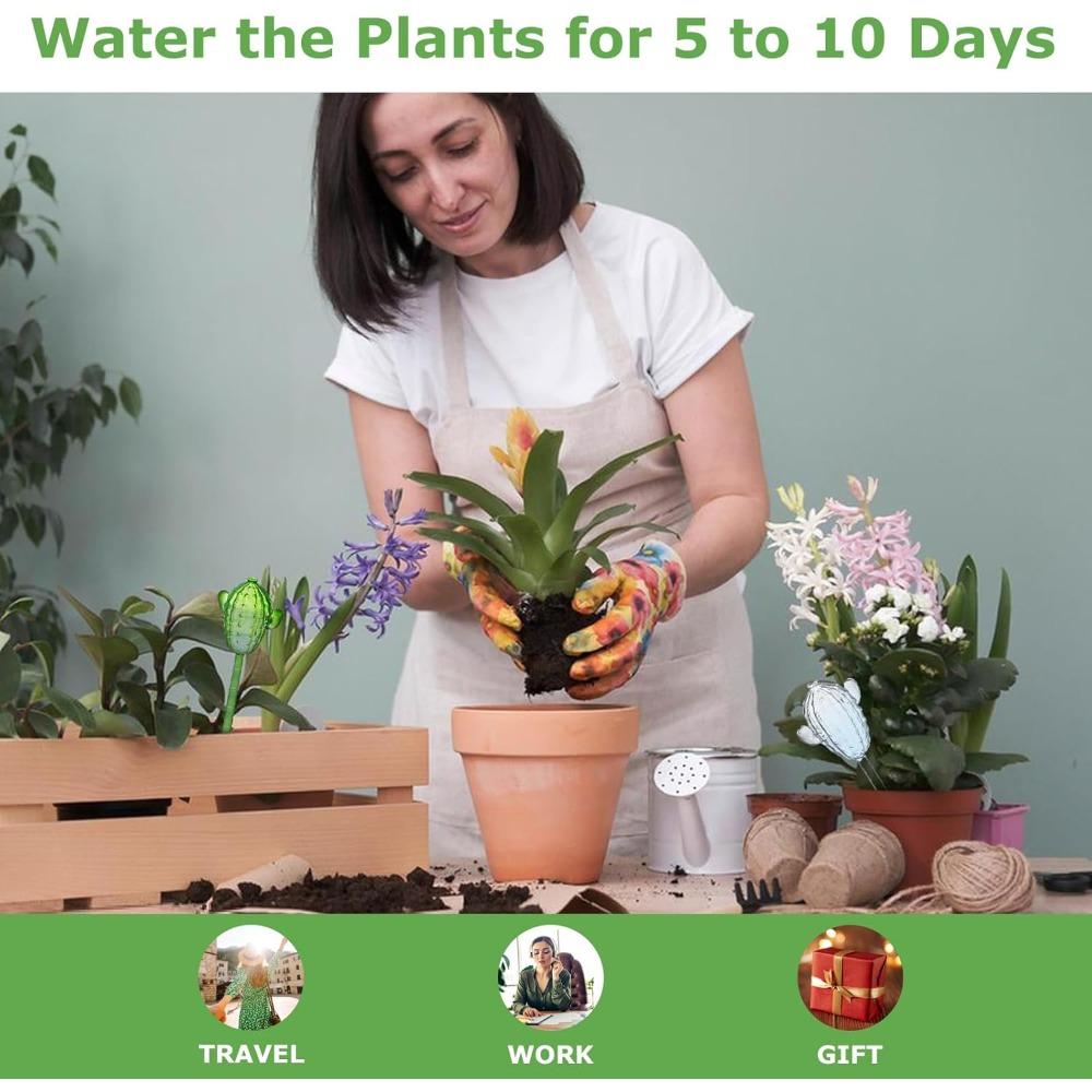 2pcs Cactus Glass Plant Watering Globes Decorative Transparent Self Watering Bulbs for Indoor & Outdoor Potted Plants Automatic Watering System