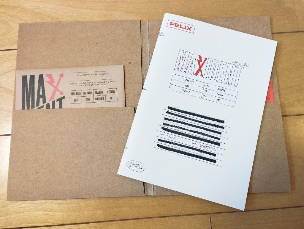 [USED] Stray Kids MAXIDENT Social Path Rakuten Other