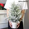Creative White Basin Small Christmas Tree Simulation Tree Diy Home Small Potted Christmas Gift Desktop Mini Ornament Decoration