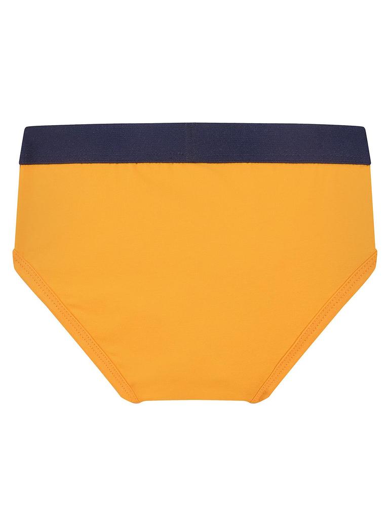 Boys' Combed Cotton Solid Color Elastic Briefs