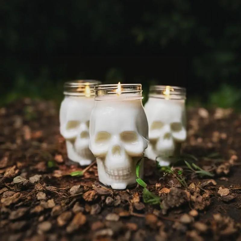6 Pack Halloween Transparent Skull Plastic Jars with Lids for Candle Making, Candle Making Molds