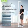 Meilen Smart Body Composition Scale