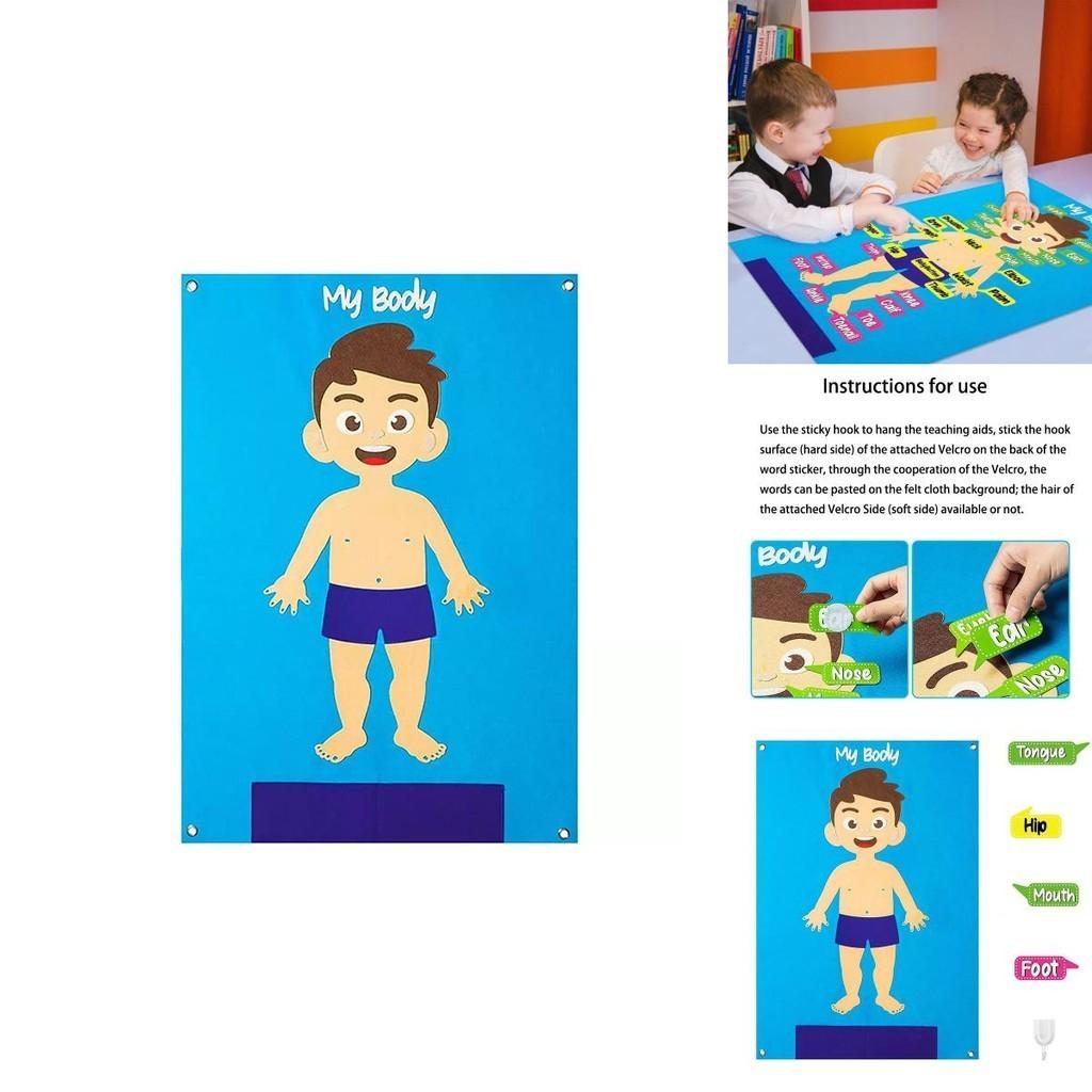 Kids' Felt Body Structure Puzzle Board With Organ Images