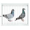 30/40x26cm Pigeon Loft Door Single Entrance Trap Door Pigeon Entrance Door  Bird Cage
