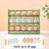 Multi Functional Household Foldable Egg Storage Box Refrigerator Drawer Style Food and Fruit Storage Tray