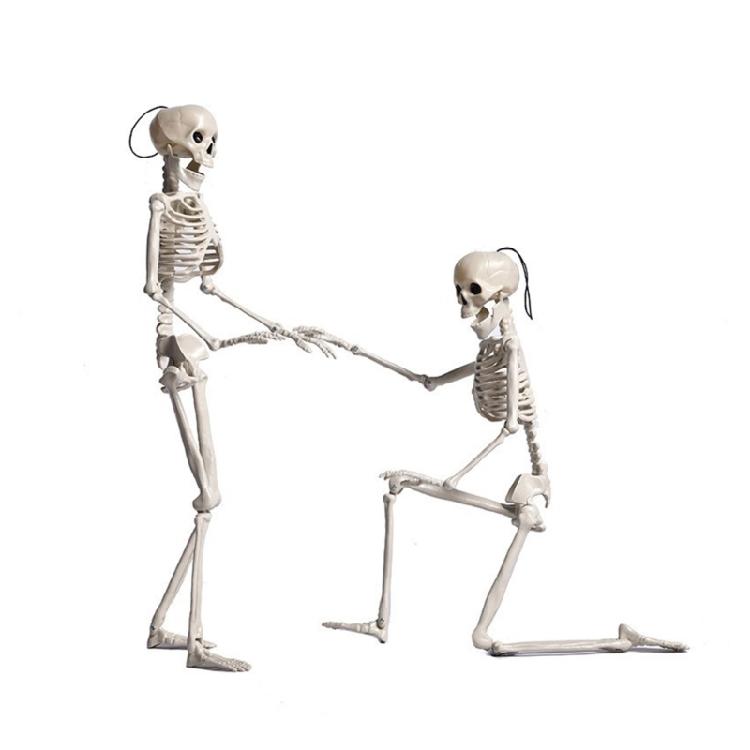 Full Body Mini Skeleton Spooky Plastic Skeleton for Yard Garden Lawn Haunted
