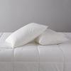 Basic Pillow, Down Alternative, Machine Washable, Large, 2-Pack, 51 X 66 Cm, White