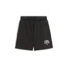 Puma Shorts 685035