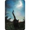 Plaque Métallique Boîte de Conserve Chat Noir Drôle Lune Sorcière Décoration Maison Art Mural Halloween