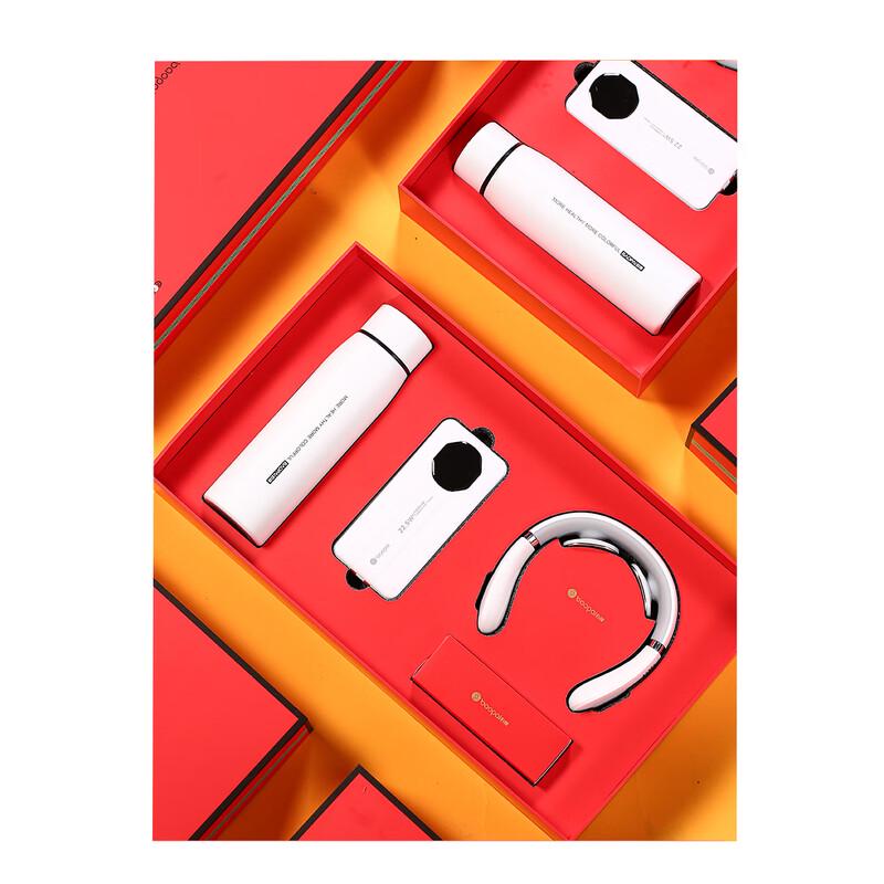 Leopard Brand BP-T65 Letu Smart Thermos Gift Set