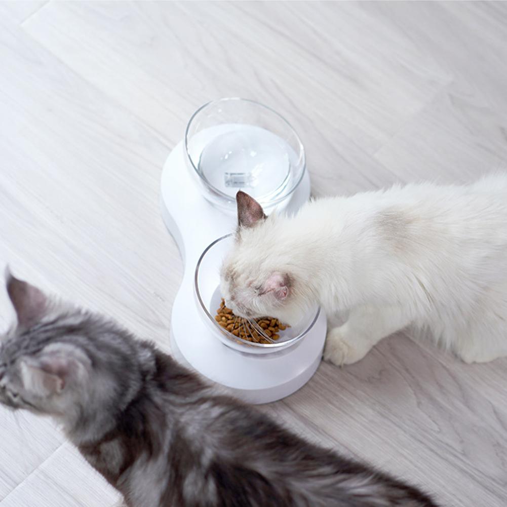 Pet Feeder 20  degrees  Adjustable Pet Cats Drinking Feeding Bowl Transparent Double Cat BowlWhite