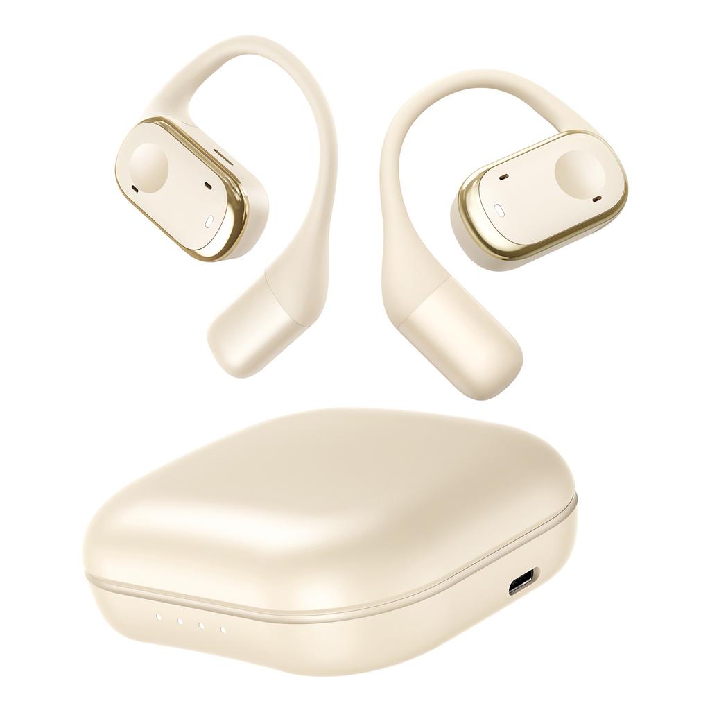 Earbuds Voice Translation Device RealTime 139 Languages Online Offline Wireless BT TwoWay