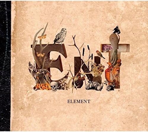 

CD ENT - ELEMENT(shokaigenteiban) TYCT69108PROMO Japan ObiJapanese Pop/Rock Used