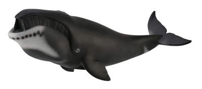 Figura Balena Artica CollectA 88652