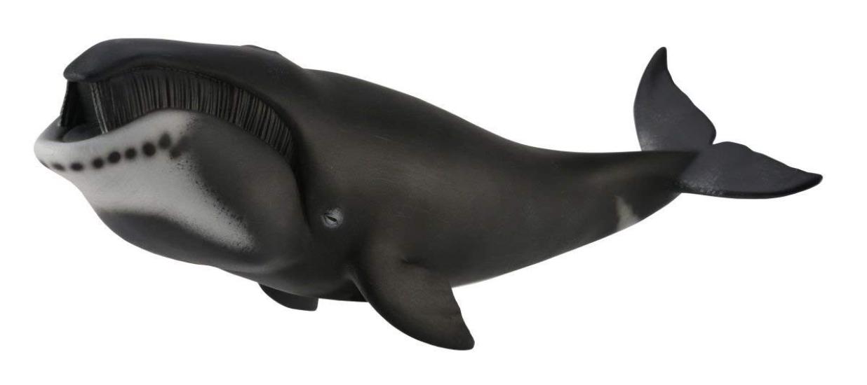Фигурка Гренландского кита CollectA 88652