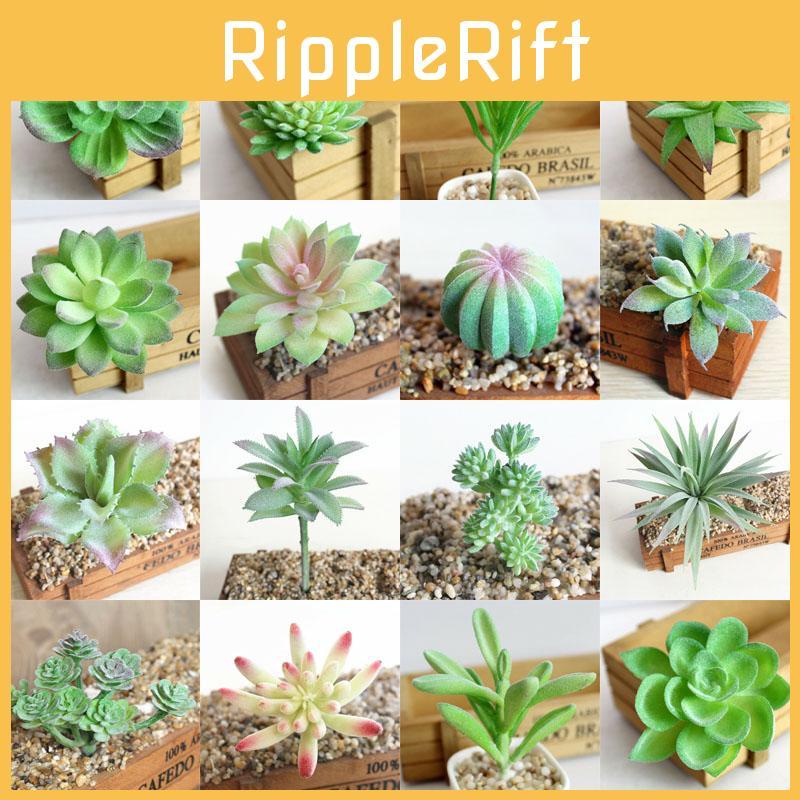 Compact Realistic-looking Fake Succulent For Indoor And Outdoor Decoration