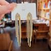European and American Exaggerated Irregular Fringed Earrings, Temperament Niche Design Shows Face Thin Earrings Earrings