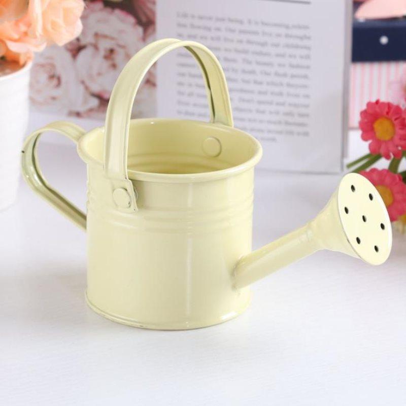 1Pc Mini Sprinkler Home Garden Indoor Vintage Flower Metal Watering Iron Pott