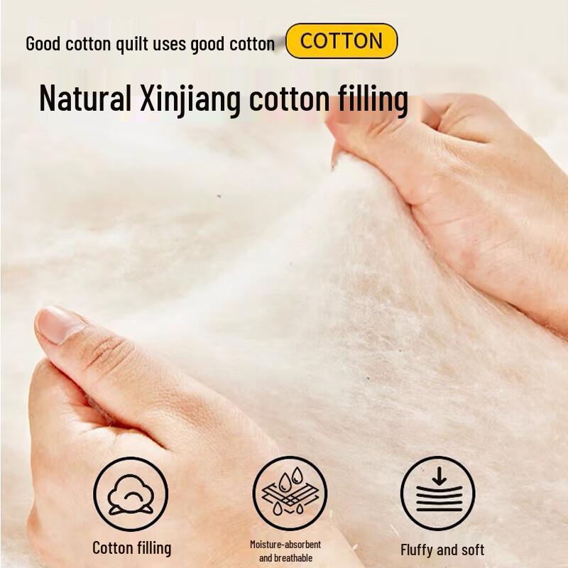 Nanjiren Class A Xinjiang Cotton Quilt