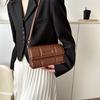 Trendy 2023 Spring Summer Casual Small Shoulder Bag For Women Simple Stylish Design