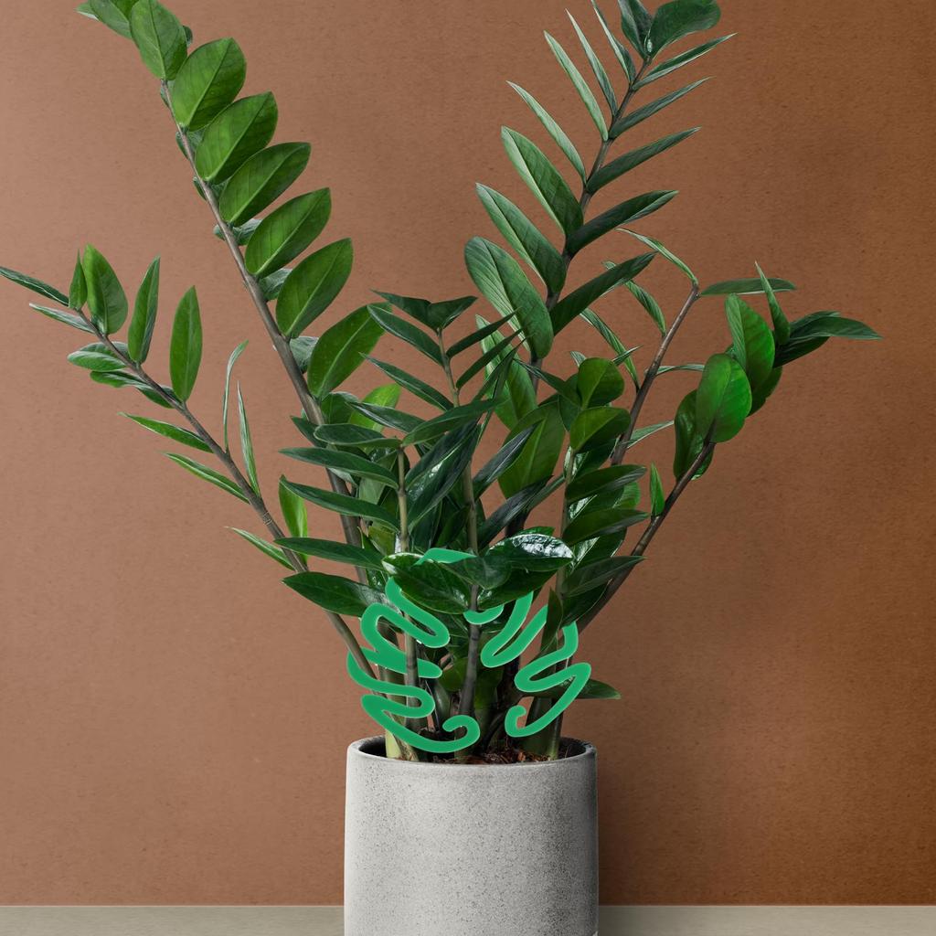 Plant Support Stakes Set of 2 Plastic Climbing Trellis Garden Plant Support Frame Growing Tool